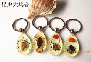 水晶 工艺 礼品厂,浙江 昆虫 标本 饰品 钥匙扣批发