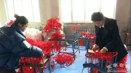 80后女孩返乡创业 铺就妇女就业增收路(图)