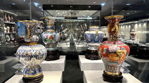非遗技艺 智慧家居 运河文化,在这里共绘发展新篇